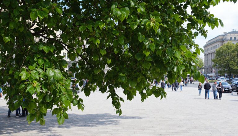 Unlocking the Future of Research: Media Futura’s New Finnish Website Launch